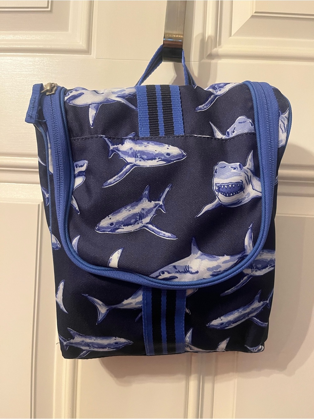 Pottery Barn Kids Blue Shark Toiletries Bag